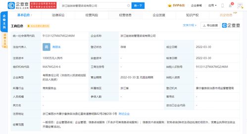 信息技術(shù)咨詢服務(wù) 賦能企業(yè)數(shù)字化轉(zhuǎn)型